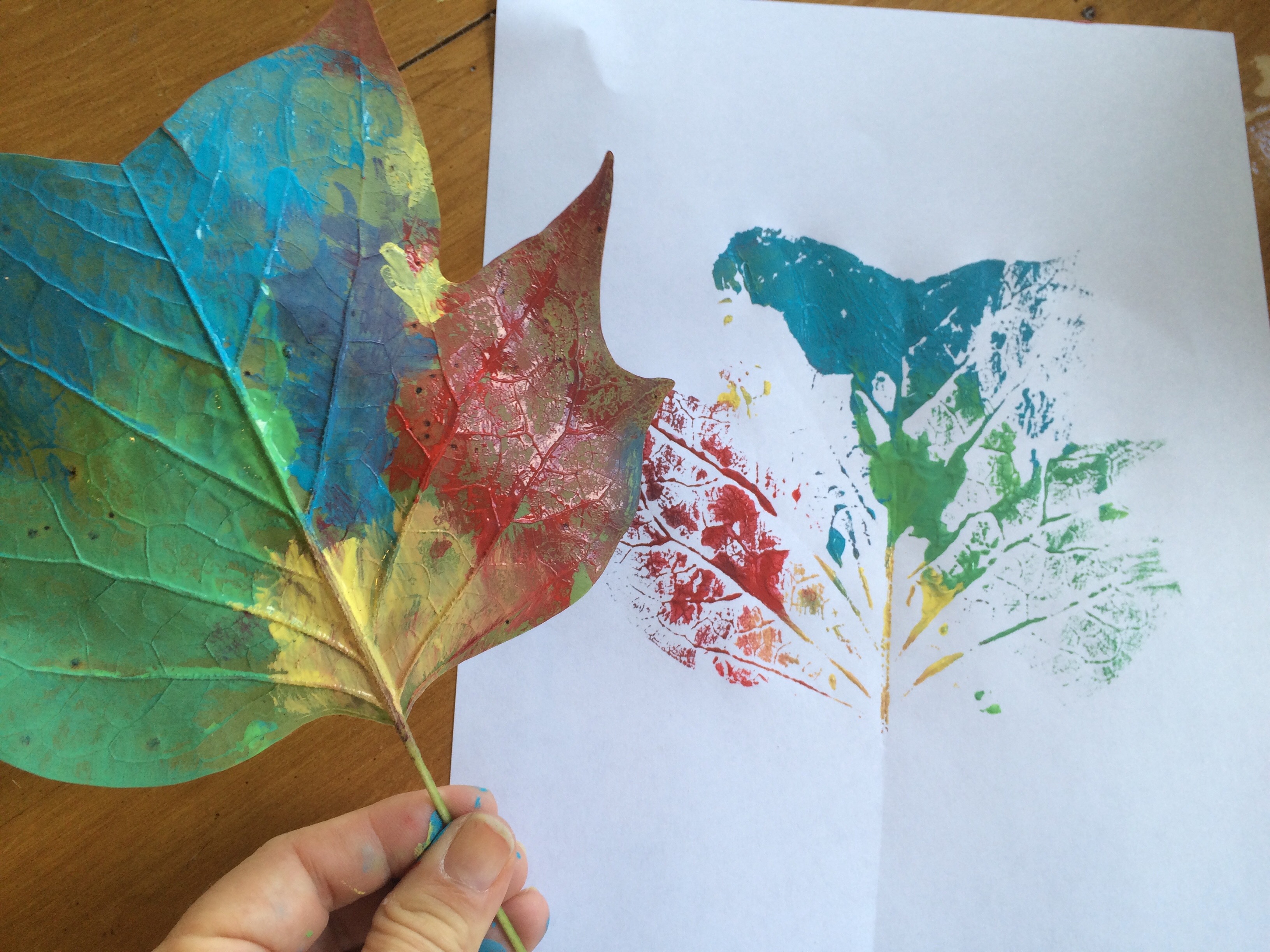 Explore Leaves and Make Rainbow Leaf Prints – Experiment Exchange